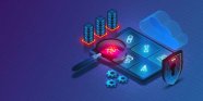 Webアプリケーション診断結果における、検出割合の高い脆弱性【2025年版】